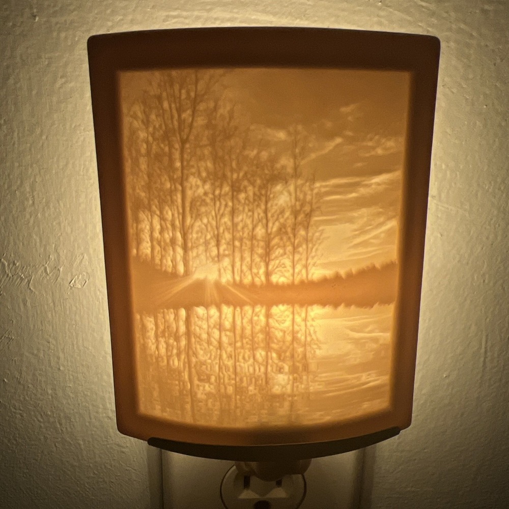 Porcelain Garden Lakeshore Sunset Lithophane Night Light Curved Panel O Box VTG